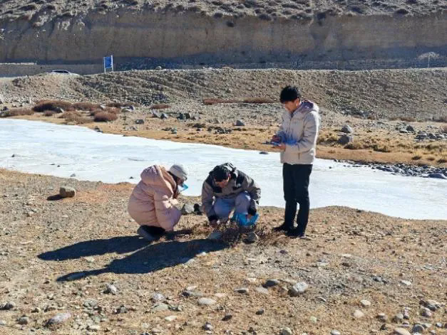 集團公司開展阿里地區(qū)重點區(qū)域（流域）生態(tài)保護和修復總體規(guī)劃項目